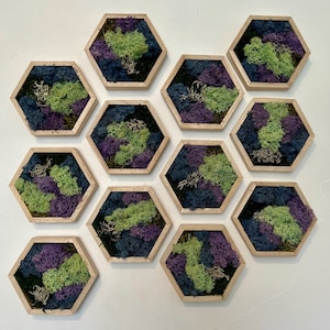 Moss Wall Art  | Honeycomb Moss   |  Home  Decor  | Wood Hexagon  | Blue Green and Purple