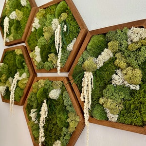 Moss Wall Art Decor | Handmade Wood Hexagon | Single Set to Six (8" x 9") or (10” x 11.6”) | Preserved Lichen, Pole, and Sheet Moss & Fern