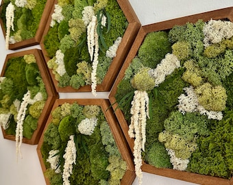 Moss Wall Art Decor | Handmade Wood Hexagon | Single Set to Six (8" x 9") | Preserved Lichen, Pole, and Sheet Moss & Fern