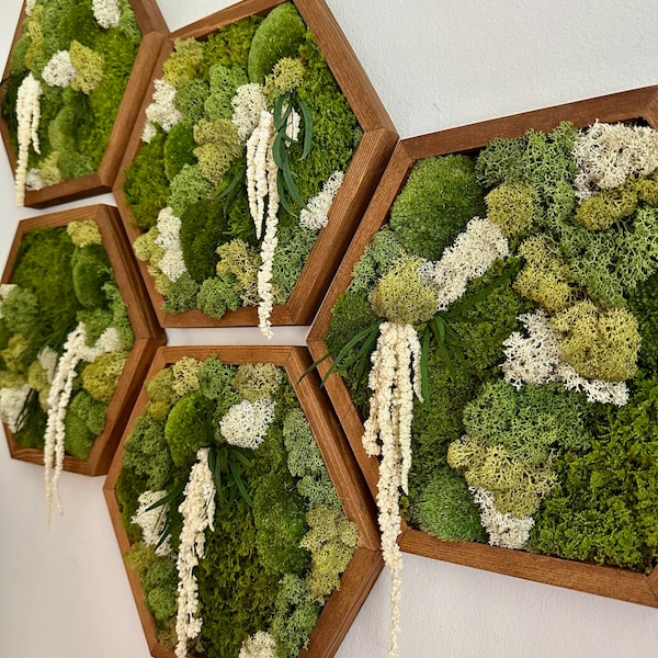 Moss Wall Art Honeycomb | Five Sizes, 5" x 6", "8 x 9", 10" x 11 1/2", 12" x 13 3/4" and 14" x 16"| Wood Hexagon | No Tariffs on USA Orders