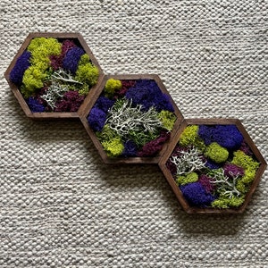 Honeycomb Moss  | Wall Art  |  Home  Decor  | Wood Hexagon  | Green and Mixed Colours