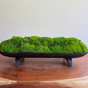 May include: A black, wooden planter filled with bright green moss and small plants. The planter has four short, angled legs. The moss is a mix of textures and shades of green, creating a natural, decorative display.