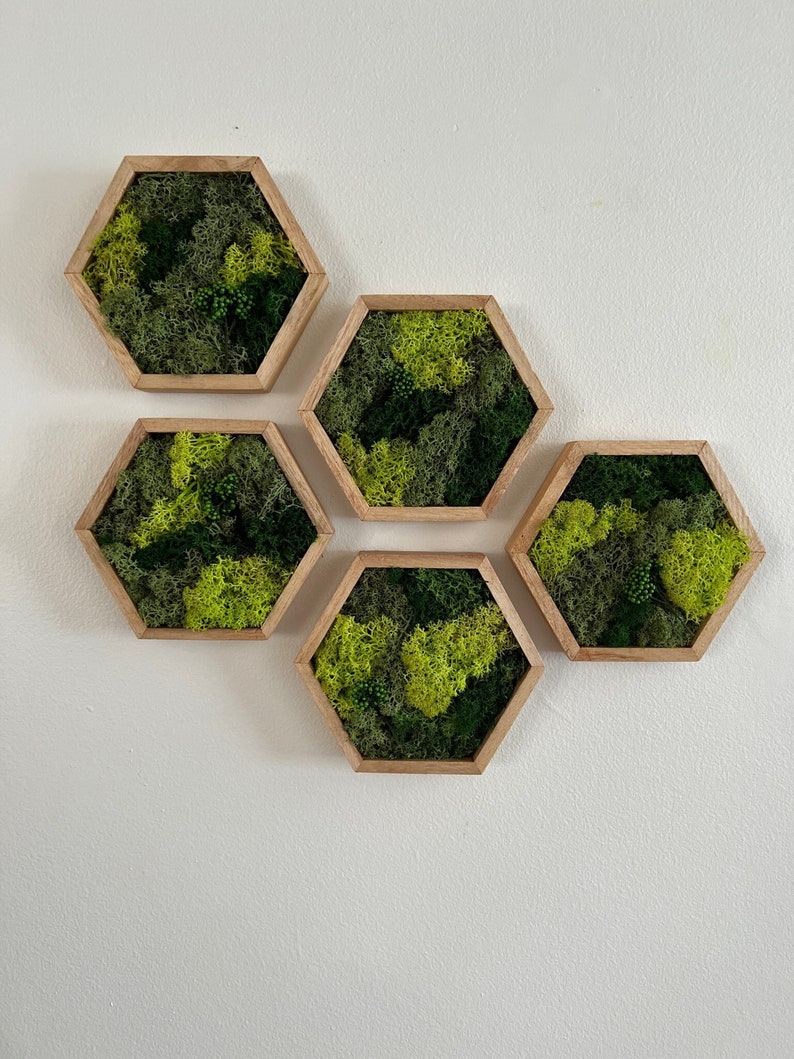 May include: Five hexagonal wooden frames with green moss inside, arranged in a pattern on a white wall.