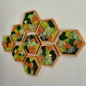 Moss Wall Art | Honeycomb Moss | Set of 1 to 12 -  5&quot; x 6&quot; | Set of 1 to 6 - 8&quot; x 9&quot;, 10&quot; x 11 3/4&quot;, 12&quot; x 13 3/4&quot; Wood Hexagon | Gift Mom