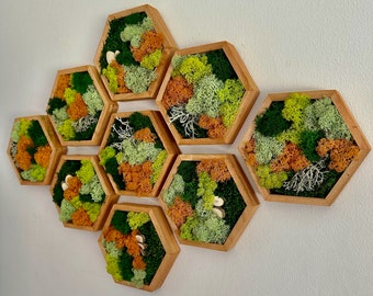 May include: A wall decor piece made of eight hexagonal wooden frames, each filled with preserved moss in shades of green, yellow, and orange. The frames are arranged in a honeycomb pattern.