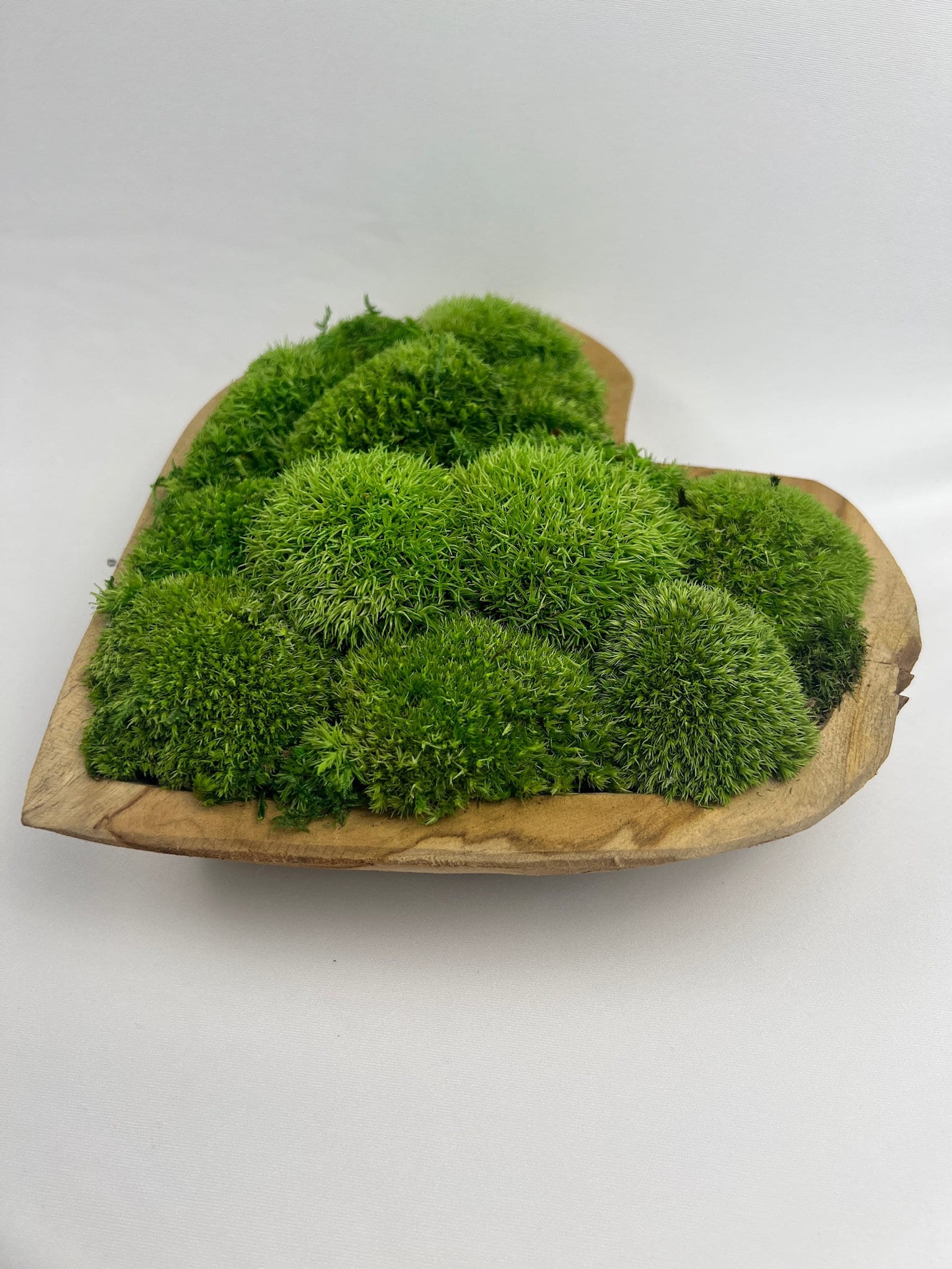  MD MACOMINE DESIGN Moss Bowl