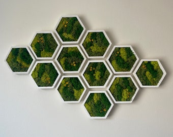 Puede incluir: Un conjunto de decoración de pared con 10 marcos hexagonales con bordes blancos, cada uno relleno de musgo preservado y pequeñas flores amarillas. Los marcos están dispuestos en forma de panal.