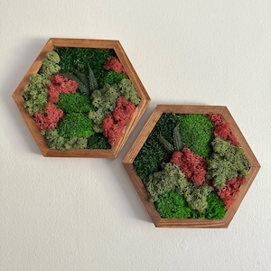 Moss Wall Art Decor | Handmade Wood Hexagon | Single Set to Six (8&quot; x 9&quot;) or (10&quot; x 11.6&quot;) | Preserved Lichen, Pole & Sheet Moss with Fern