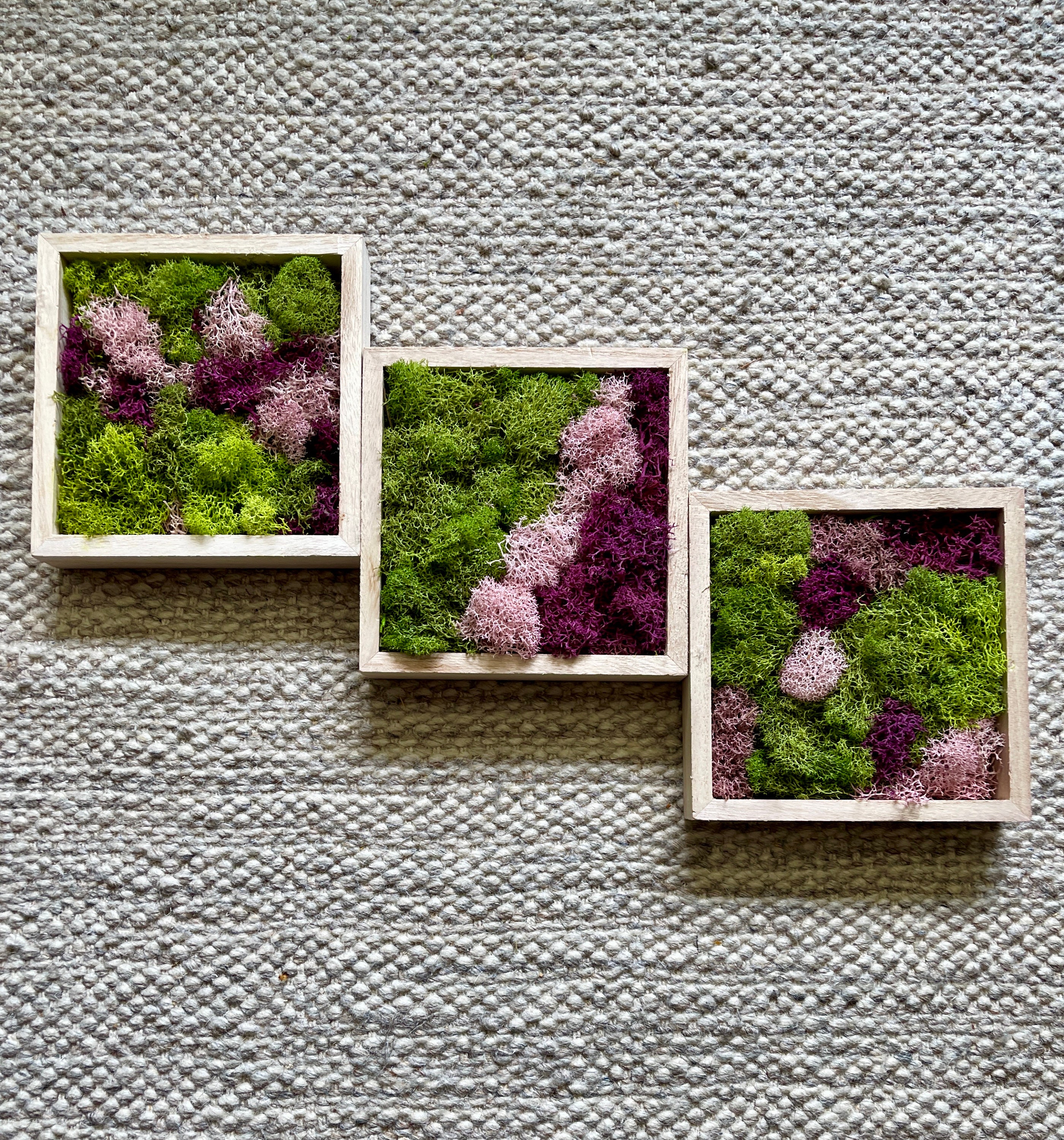 Moss Wall Art | Preserved Moss Art Framed | Square | Green and Pink