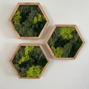 May include: Three hexagonal wall decor pieces with a wood frame and a green moss design.