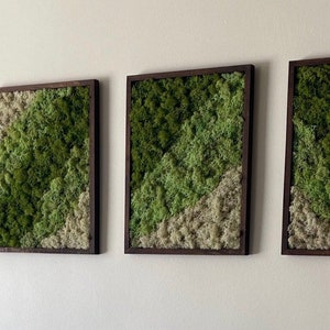 Moss Wall Art | Preserved Moss Framed | Moss Wall Decor | Moss Wall Art | Set of 1 - 4 | Rectangle Wood Frame | Medium Green, Mint and White