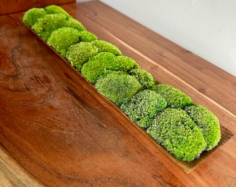 Moss Centerpiece | Pole Moss | Moss Planter | Preserved Moss Gift  | Wood Nature Bowl | One of a Kind | Green Pole Moss | Gift