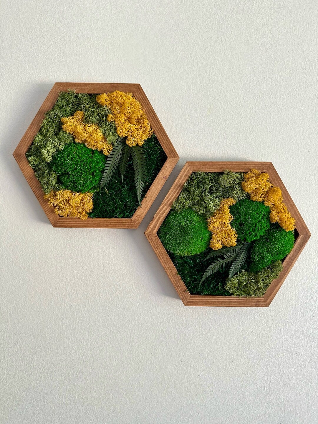 Moss Wall Art Decor | Handmade Wood Hexagon | Single to Set of Six (8 ...