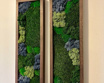 May include: Two rectangular framed wall art pieces with preserved moss in shades of green and blue. The frames are dark brown wood.