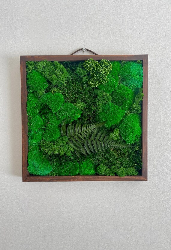 Moss Wall Art Preserved Moss Art Framed Square Frame Etsy