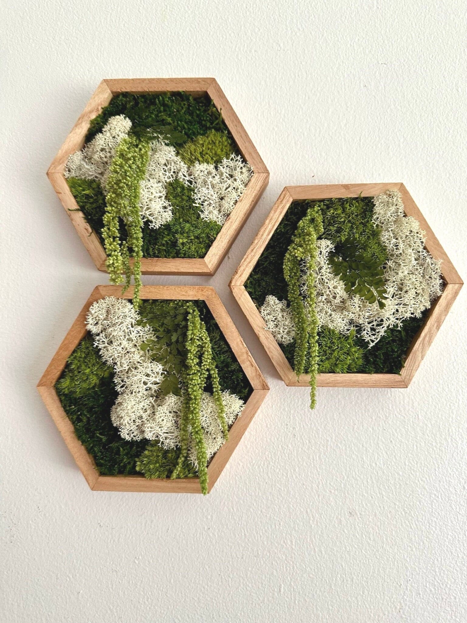 Muurkunst honingraatmos: rendiermos en amaranthus in houten zeshoek