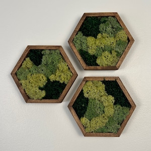 May include: Three hexagonal wall decor pieces with a wooden frame and preserved moss inside. The moss is a mix of green and yellow.