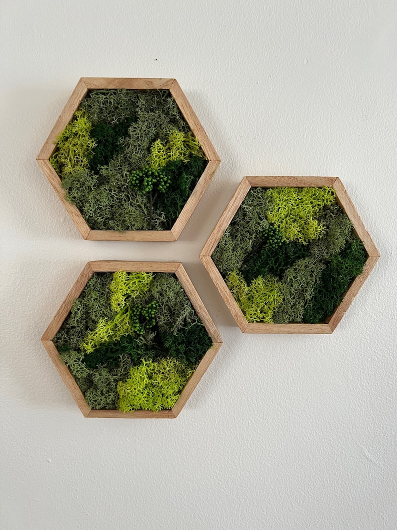 May include: Three hexagonal wall decor pieces with a wood frame and a green moss design.