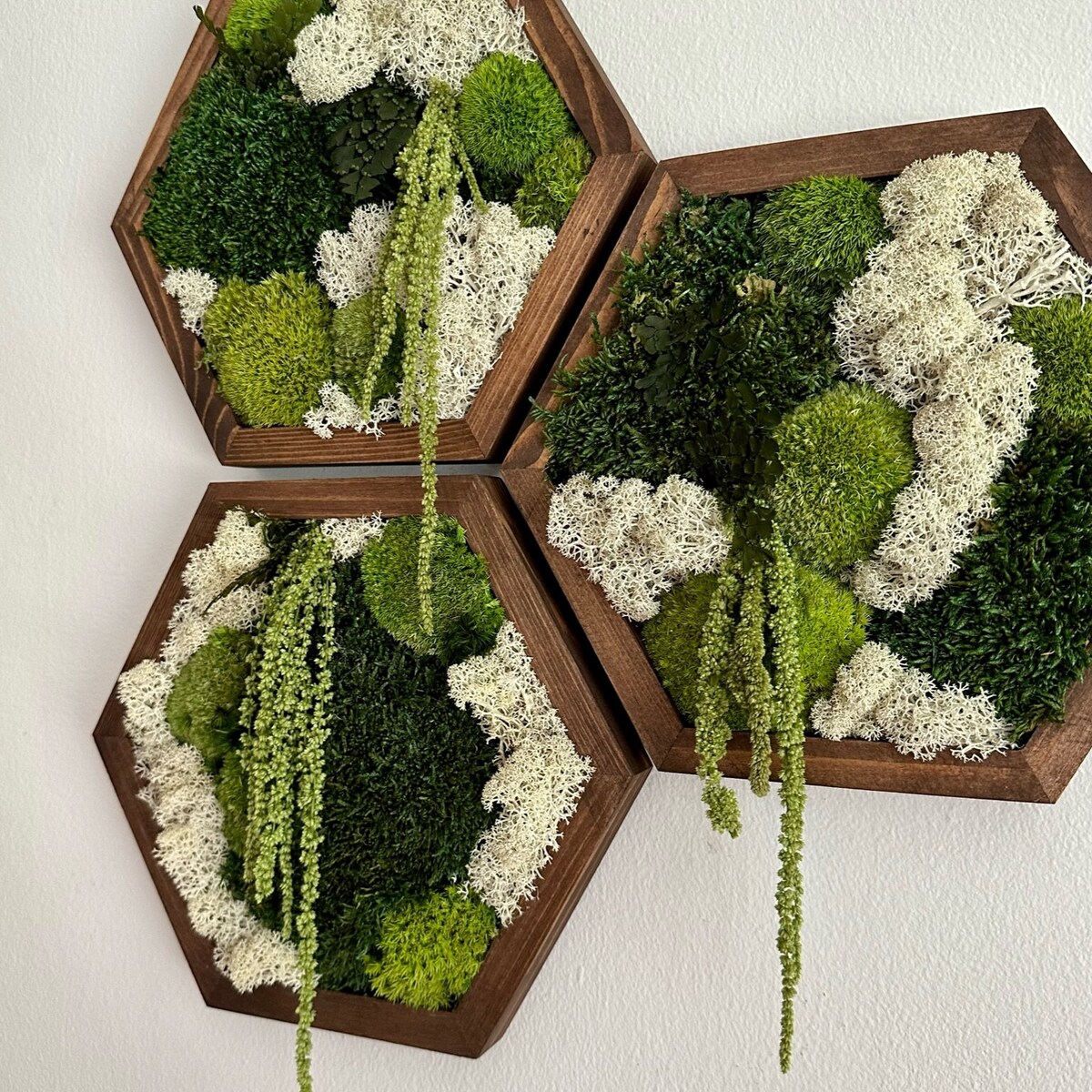 Moss Wall Art | Honeycomb Moss | Four Sizes, 5 X 6", 8 X 9", 10 X 11.5" or 12 X 13 3/4" | Wood Hexagon | Reindeer Pole Sheet Moss Amaranthus - Etsy