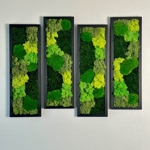 Moss Wall Art | Preserved Moss Art Framed | Moss Wall Decor | Moss Wall Sets | Rectangle Single to Six Set | Green Reindeer Moss Pole Moss