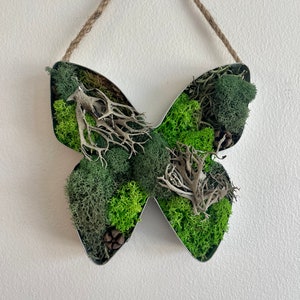 Butterfly Moss  | Preserved Moss Wall Art  |  Home Decor  | Metal Butterfly  | Green and Beige Reindeer Moss