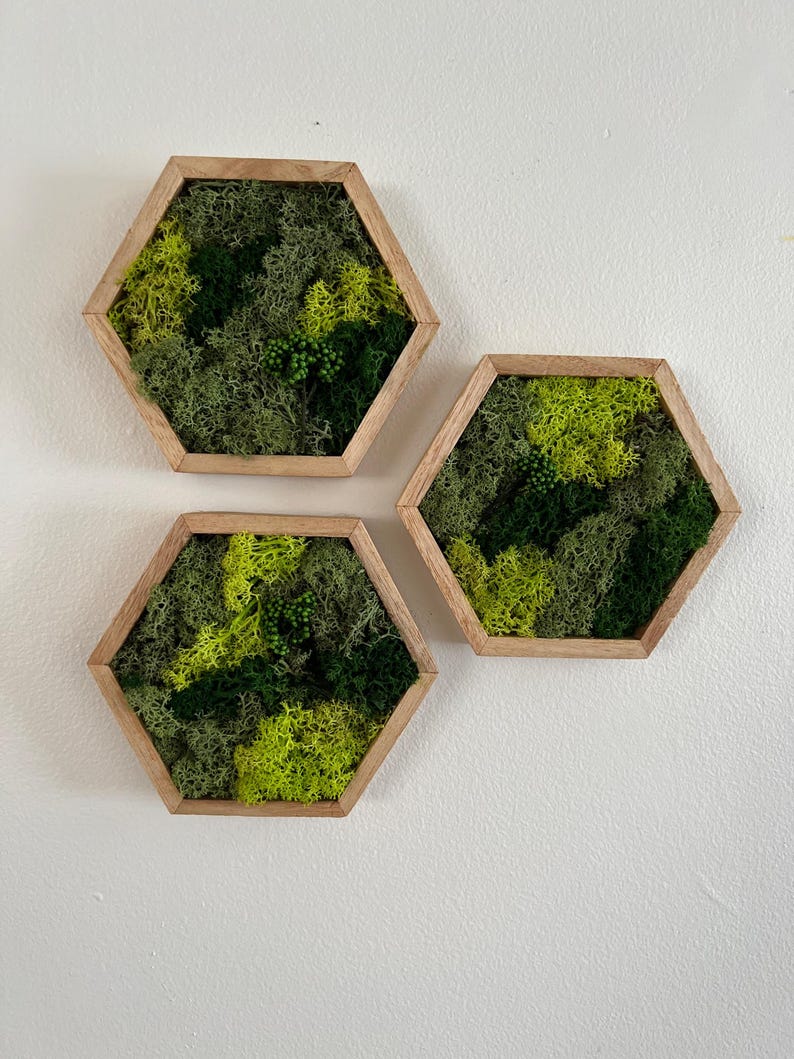 May include: Three hexagonal wall decor pieces with a wooden frame and a variety of green moss inside.