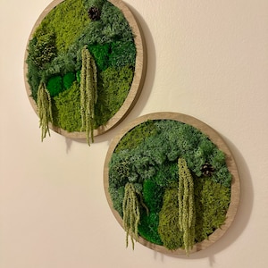 Cornice circolare con muschio da parete / Arte con muschio conservato con cornice / Decorazione da parete con muschio / Singola o set da 2 / Renna, palo e muschio in fogli / Regalo di Natale