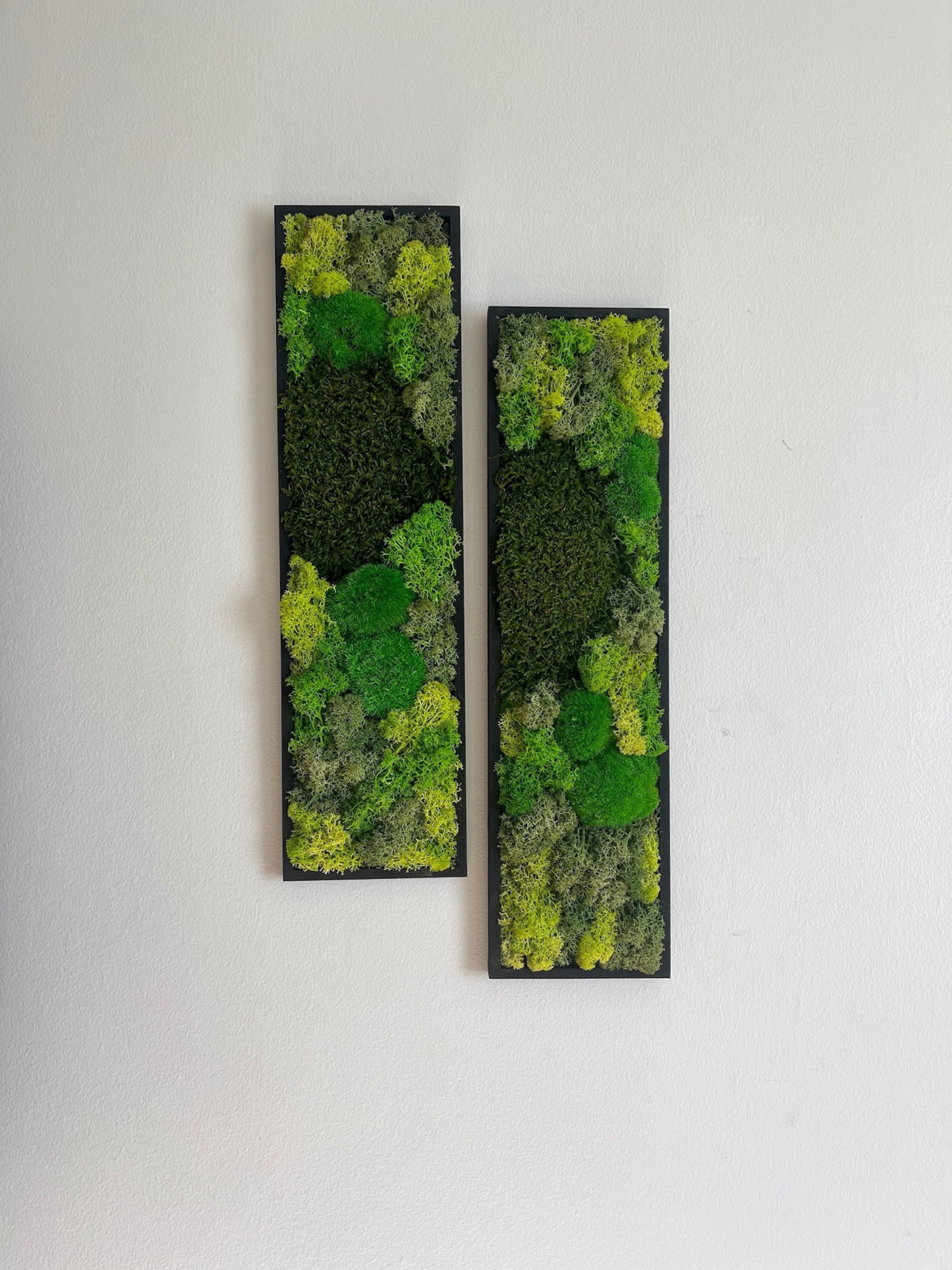 Moss Wall Art Preserved Moss Art Framed Moss Wall Decor Moss Wall Sets