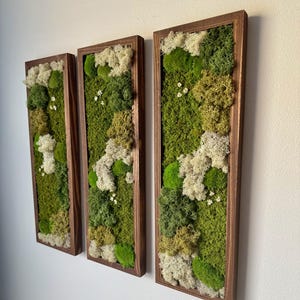 Moss Wall Art | Preserved Moss Art Framed | Moss Wall Decor | Moss Wall Sets | Rectangle Single to Six Set | Reindeer, Pole and Sheet Moss