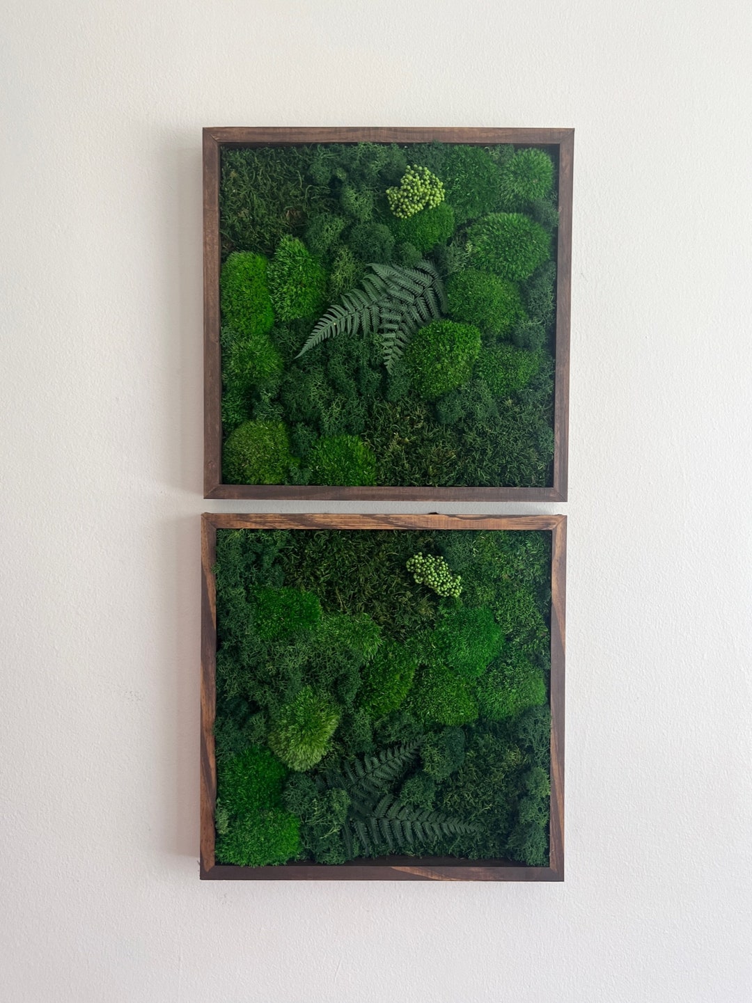 Moss Wall Art Preserved Moss Art Framed Square Frame Green Moss Pole