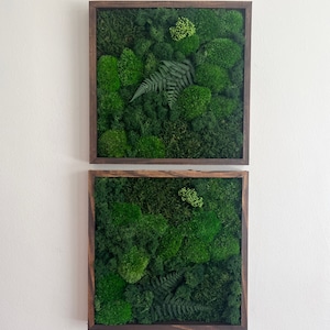 Moss Wall Art | Preserved Moss Art Framed | Square Frame | Green Moss Pole Moss with Preserved Fern and Flowers