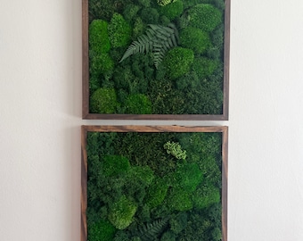 Moss Wall Art | Preserved Moss Art Framed | Square Frame | Green Moss Pole Moss with Preserved Fern and Flowers