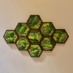 Moss Wall Art | Honeycomb Moss Single to Set of Twelve | Wood Hexagon  | Green with Yellow Preserved Flowers