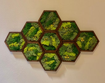 Moss Wall Art | Honeycomb Moss Single to Set of Twelve | Wood Hexagon  | Green with Yellow Preserved Flowers