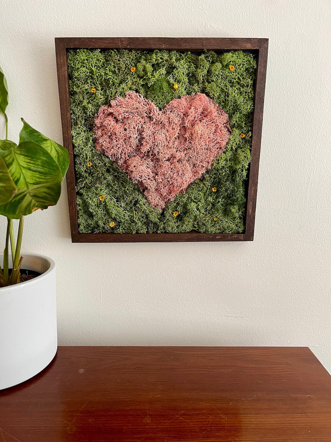 Rwp Card Preserved Moss Heart Wall Art: Framed Reindeer Moss, Square Frame | USA ...