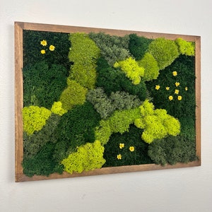 Moss Wall Art | Preserved Moss Framed | Moss Wall Decor | Rectangle Frame | Sheet Moss Pole Moss and  Reindeer Moss