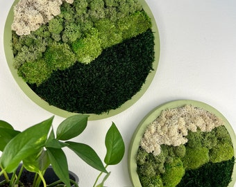 Framed Preserved Moss Wall Art: Reindeer & Sheet Moss Circle | USA - TARIFF FREE