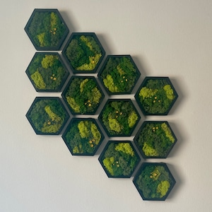 Moss Wall Art | Hexagon Moss Decor | Single to Set of Twelve | Wood Frame | Black Frame | Green with Yellow Preserved Flowers Reindeer Moss