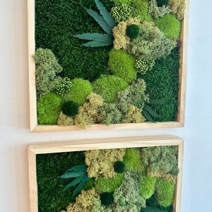Moss Wall Art | Preserved Moss Framed | Moss Wall Decor | Square Frame | Pole Moss with Preserved Flowers, Fern with Reindeer Moss