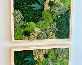 May include: Two framed moss wall art pieces. The top piece features a variety of green moss, ferns, and small green berries. The bottom piece features a variety of green moss, ferns, and a small pine cone.