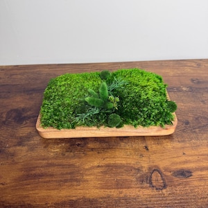 May include: A rectangular wooden tray filled with bright green moss and small sprigs of greenery. The moss is lush and textured, creating a natural, decorative element. The tray sits on a dark wood surface.