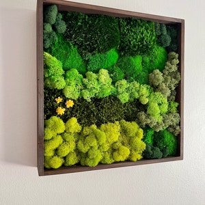 Moss Wall Art | Preserved Moss Framed | Moss Wall Decor | Square Frame | Preserved Mood Moss, Pole Moss, Sheet Moss and Reindeer Moss | Gift