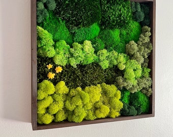 Moss Wall Art | Preserved Moss Framed | Moss Wall Decor | Square Frame | Preserved Mood Moss, Pole Moss, Sheet Moss and Reindeer Moss | Gift