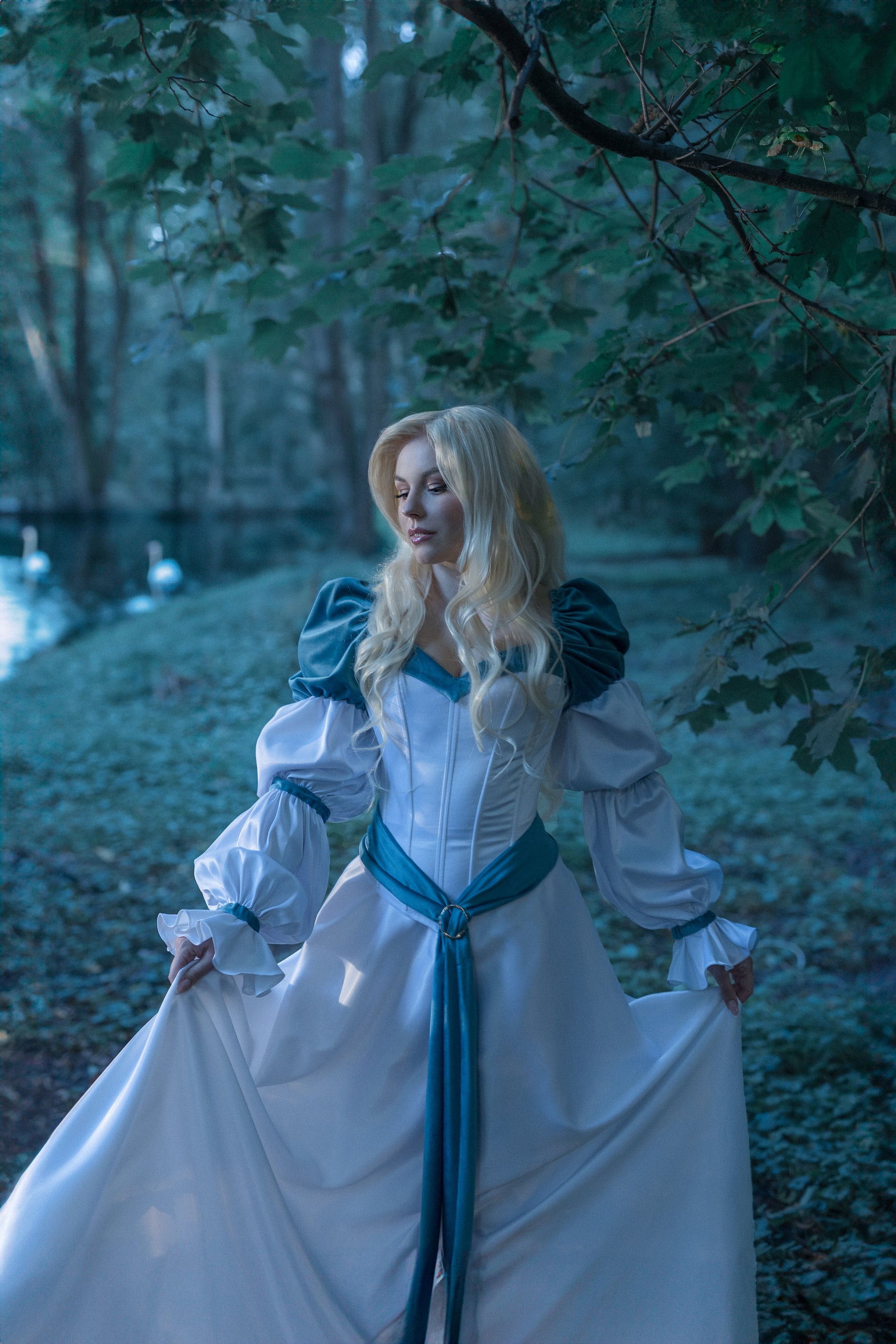 Swan Princess Dress Pattern - Etsy