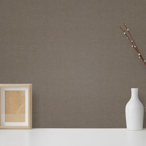 Pu&ograve; includere: Un muro di colore marrone con una texture ruvida, un portafoto, un cactus in vaso e due vasi bianchi con rami e bacche bianche.