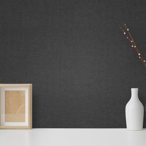 Pu&ograve; includere: Un muro nero testurizzato con una cornice bianca, un cactus in vaso, un vaso bianco con un ramo di bacche bianche e un vaso bianco con superficie testurizzata.