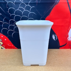 May include: A white plastic square planter with rounded edges. The planter has a smooth surface and a slightly flared lip.