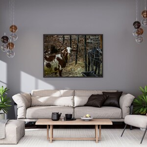 Goat Photograph- Farm Photography- Goat Digital Print- Farm Print- Digital Download- Farm Digital Print- Nubian Goat- Mama Goat- Goat Lady