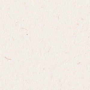May include: A close-up of a plain white textured paper surface.