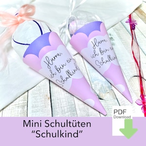 Mini school cone, school enrollment, start of school, school enrollment gift, candy cone, school enrollment decoration, girl, DIY school cone, schoolchild, student, PDF